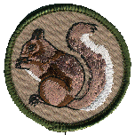 2 inch round embroidered WB patrol patch brown Squirrel